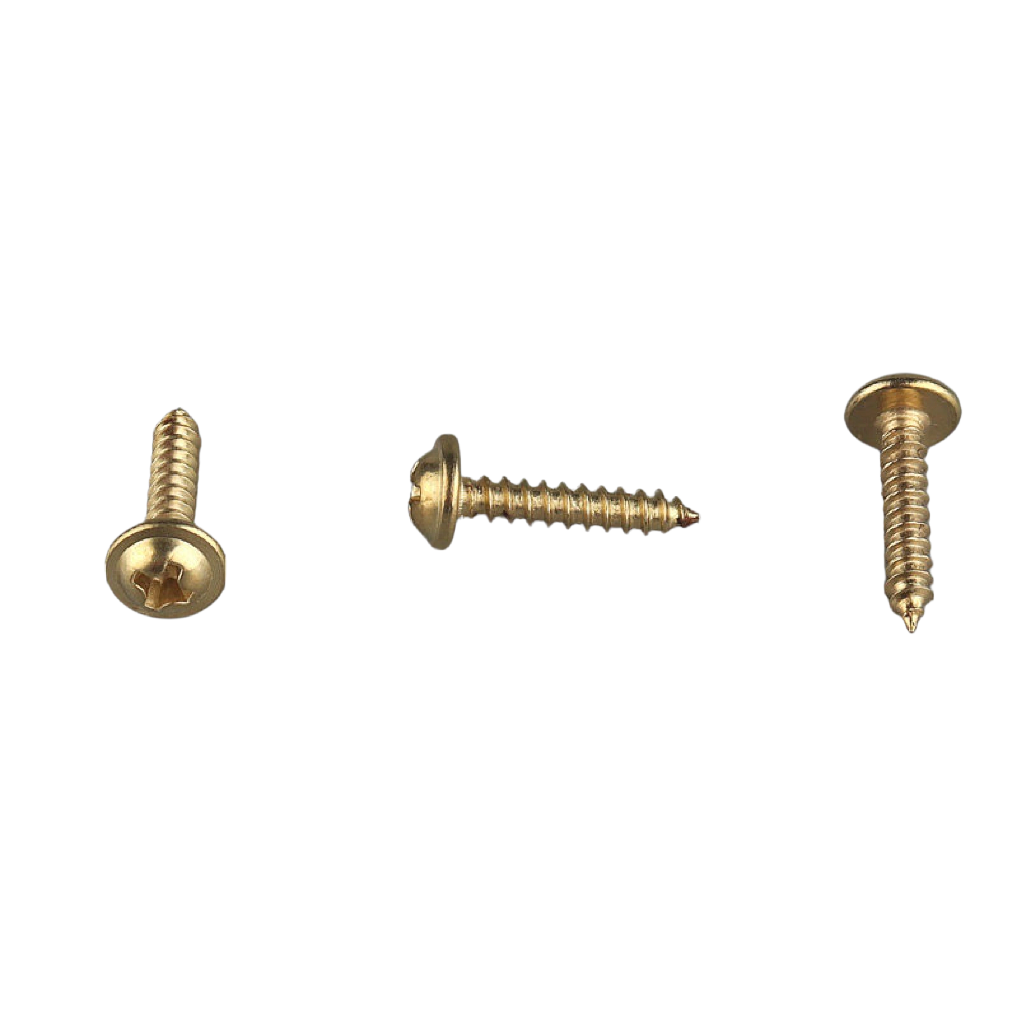 Gold Washer Head Self-Tapping Screw 3x16mm longest gold series for thick hardwood gallery frames